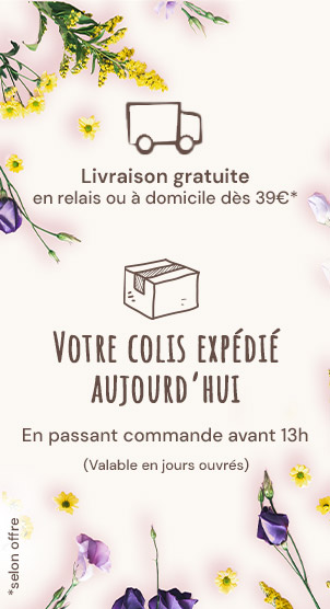 Expédition avant 13h
